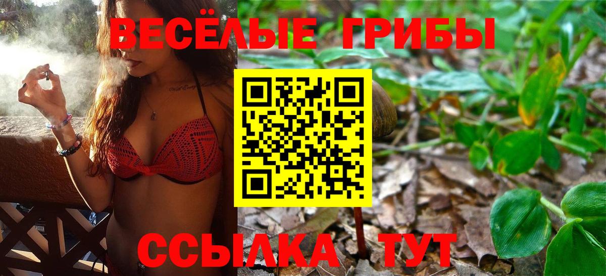 Ноябрьск  Псилоцибиновые грибы Cubensis  Вход с VPN 