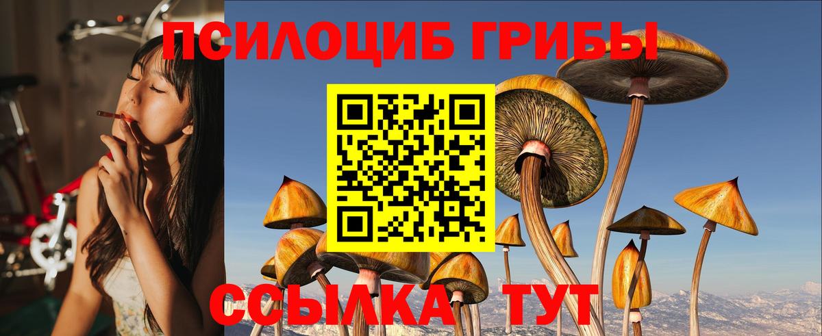 Галлюциногенные грибы Cubensis Ноябрьск